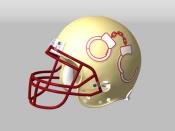 FSU Helmet